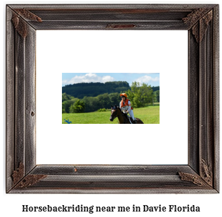 horseback riding near me in Davie, Florida